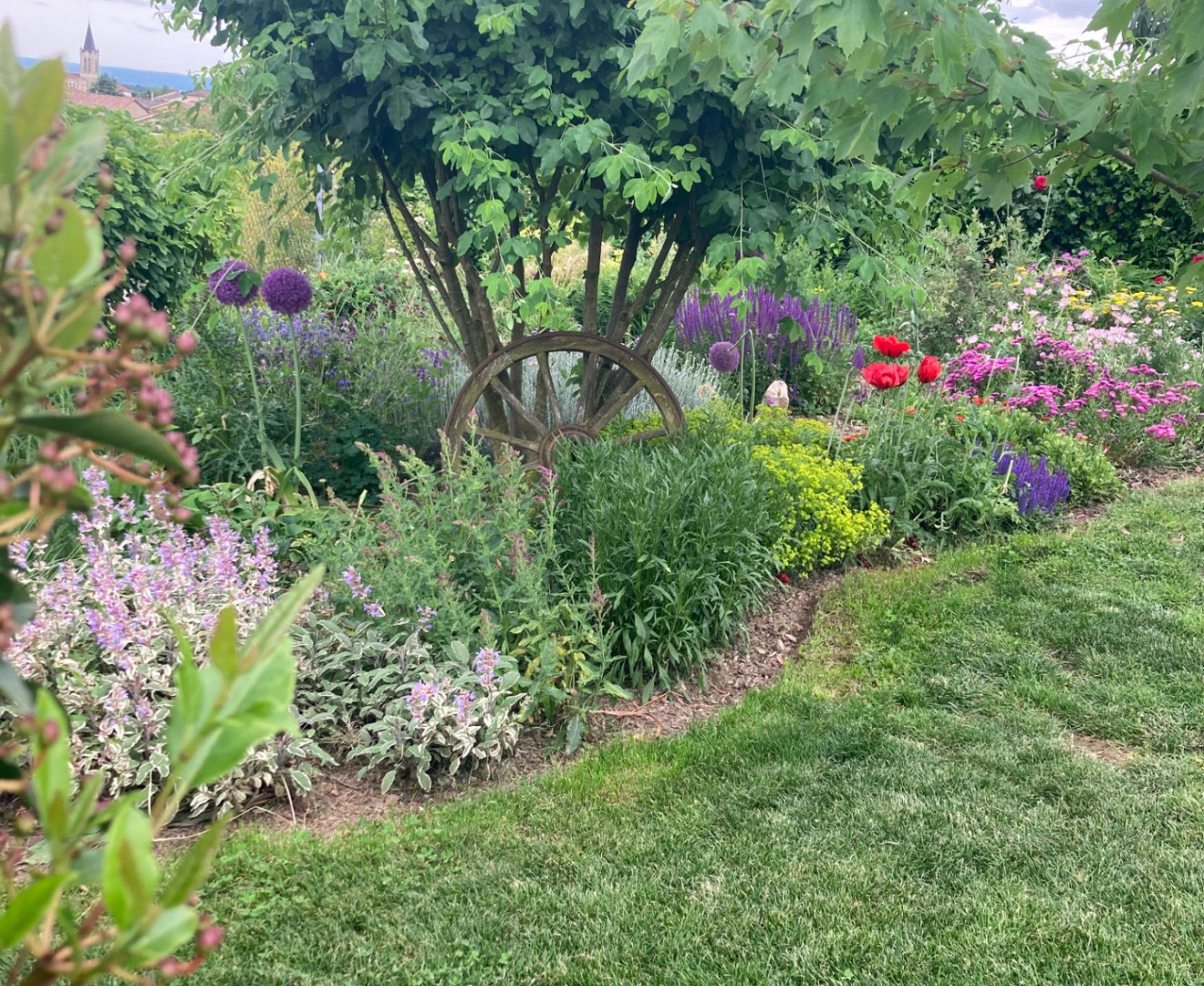 Plantation d'arbres d'ornement et fruitiers
